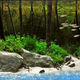 Illustration for article titled These beautiful natural landscapes are actually aquariums